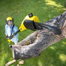 Professional Tree Services in Trussville, AL